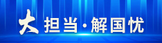 大擔(dān)當(dāng)·解國(guó)憂